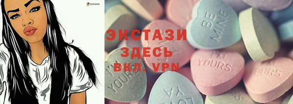 индика Приозерск