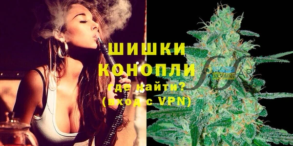 индика Приозерск