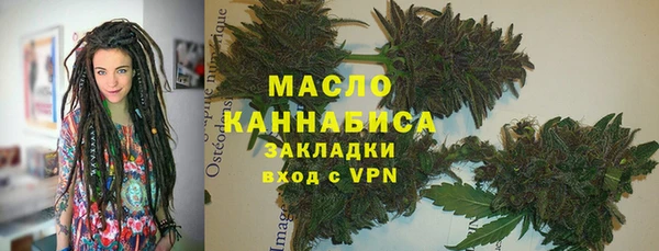 индика Приозерск