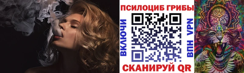 Галлюциногенные грибы Psilocybine cubensis  где продают   Тотьма 